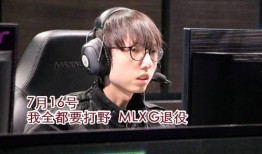 爆料小虎退役视频大全下载,视频大全下载背后的感人瞬间